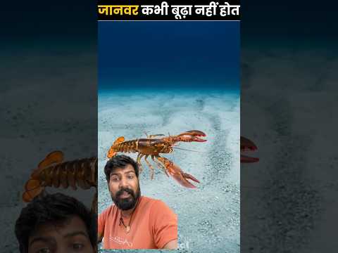 जानवर 🐅 कभी बूढ़ा न्ही #amazingfacts #knowledge #facts #trending #ytshorts #new #kabootarba #viral