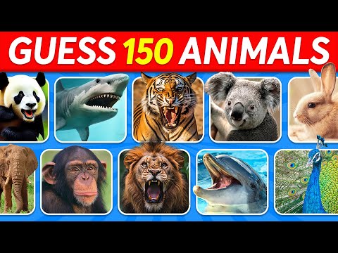 Guess 150 Animals in 3 Seconds 🦁🐼🐵 | Easy, Medium, Hard, Impossible