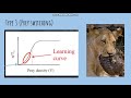 Foraging Behavior and Optimal Strategies