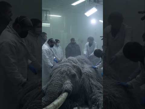 اشياء غريبه تم العثور عليها في الجليد والاخير من ٣٢ الف سنه