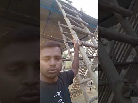 नसेनी लेकर आए हैं