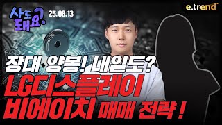 LG디스플레이, 비에이치 매매 전략!  | 권순명 이사, 이예진 피디