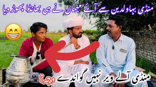 Mandi Bahawal Din sy Aye Mehman ne End krdya