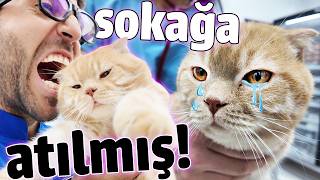 NE OLMUŞ BU ÇOCUĞA? 🥺