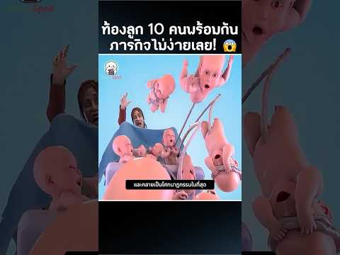 ท้องลูก 10 คนพร้อมกัน ภารกิจไม่ง่ายเลย! 👶 #shorts #funfacts #เรื่องจริงสุดฮา