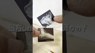 理系ホイホイなガチャ活　#ガシャポン  #ガチャガチャ #ガチャガチャ開封　#shorts