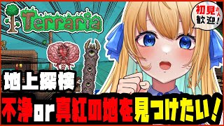 【テラリア/Terraria/作業用BGM】全ボス討伐を目指して！地上探検するぞ！！【【ハーネル・グウテン/VTuber】】