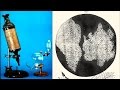 Robert Hook and Microscopy Concepts