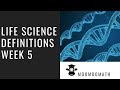 Biology Concepts and Processes