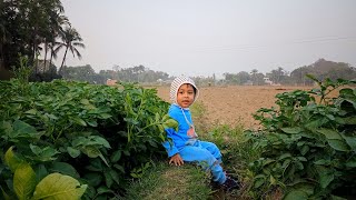 নীলকে নিয়ে সারাদিন সব্জি তোলা এবং পরিচর্যা করলাম|||Our Simple Village Life||Village Life