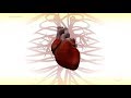 Doenças Cardiovasculares e Hipercolesterolemia