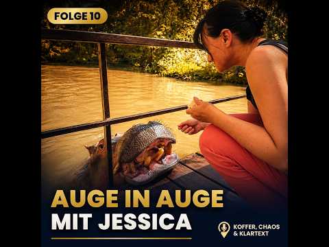 Jessica, Südafrikas berühmtestes (freies) Nilpferd: hautnah füttern & streicheln 🦛
