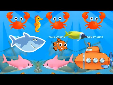 Baby Shark video | Baby Shark Dance Song | Baby Shark doo doo doo | Kids song Nursery rhymes toddler