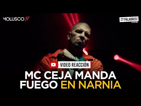 Ceja manda fuego en Narnia ¿ A quien le tira ? Tira nombre #ElPalabreo