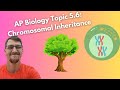 Genetic Disorders and Inheritance Patterns