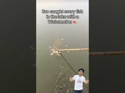 new fishing net invent. #experiments #science #scienceexperiments #physics #chemistry #shorts