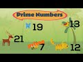 Exploring Prime and Composite Numbers