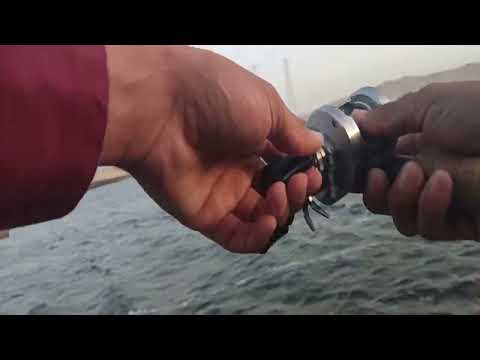 27MIN FISHING NEW LURES IN WINDY CONDITIONS ODDS A 