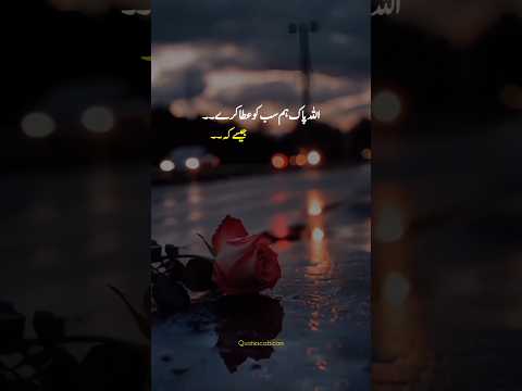 Islamic lines in Urdu 🥰😍 #shortsfeed #whatsappstatus #urdulines #islamicstatus