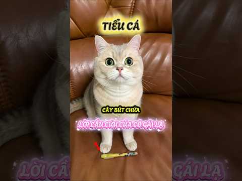 Tiểu Cá và cây bút chứa lời cầu cứu của cô gái lạ #viral #viralshort #viralvideos