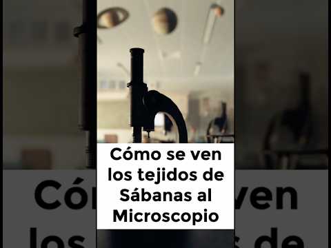 Cómo se ve una Sábana al Microscopio (Te Sorprenderá)  #ciencia  #sabanas #curiosidades