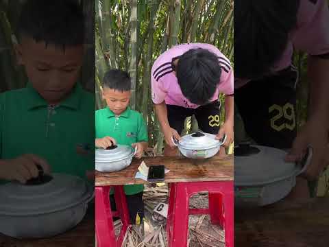 Thử Thách Lắt Sting #shorts