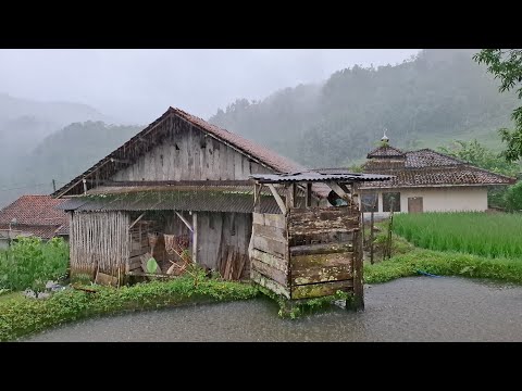 Dordar Gelap‼️Bikin Betah. Hujan Deras Di Kampung Mengguyur Jawa Barat Cisewu Garut Selatan