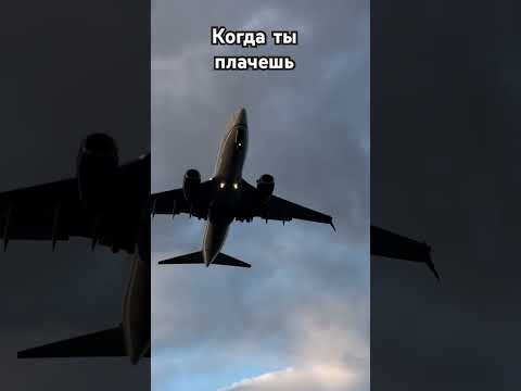 #ислам #rek #субханаллах #flowers #аллоху