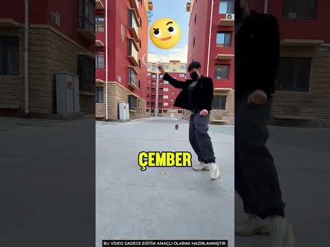 Köpek zıplayıp çemberlerin içinden geçiyor! 🐕‍🦺🔵