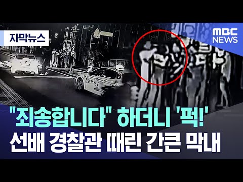 [자막뉴스] "죄송합니다" 하더니 '퍽!' 선배 경찰관 때린 간큰 막내 (부산MBC 뉴스)