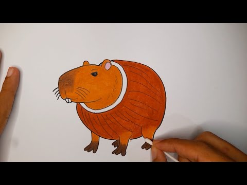 Menggambar Burbaloni Luliloni Anomali Capybara