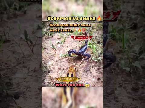 wait for end 😱 #trending#animals#wildlife#lion#shorts#youtube