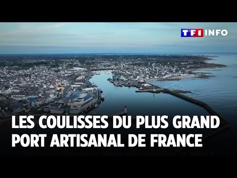 Les coulisses du plus grands port artisanal de France ｜TF1 INFO