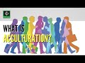 Acculturation and Cultural Exchange Concepts