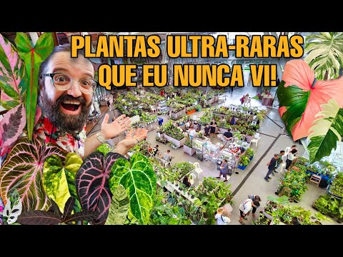 PLANTAS variegatas e coloridas  - O MAIOR ESPETÁCULO da TAILÂNDIA - garden / plants / jardim