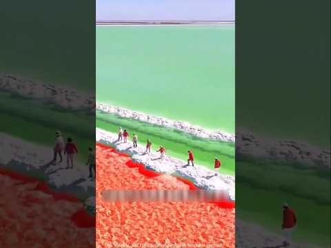 এটি চীনের সবচেয়ে মূল্যবান সম্পদ | Salt mines in China 😯