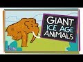 Ice Age Animals and Their Extinction