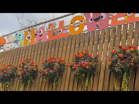 ハロウィン🎃オアシスパーク様ハンギングバスケット