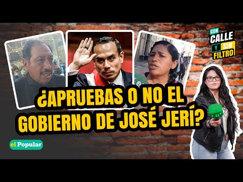 ¿Apruebas GESTIÓN de PRESIDENTE JOSÉ JERÍ? Peruanos hablan fuerte en las calles