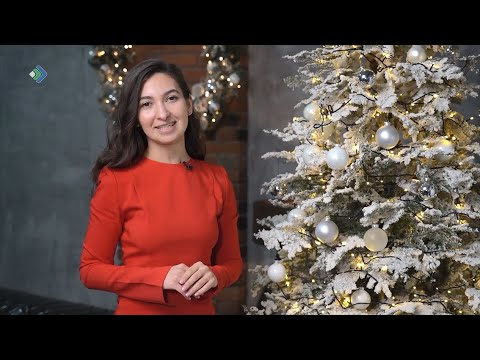 Все о занятости. 29.12.22