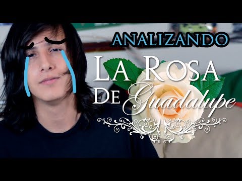Analizando la ROSA DE GUADALUPE?!