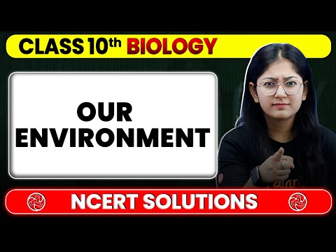 Our Environment - NCERT Solutions | Class 10 Biology Chapter 13 | Board Exam 2025