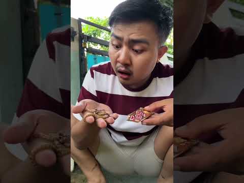 Found snack t0p containing caterpillars and share with the fish #shorts