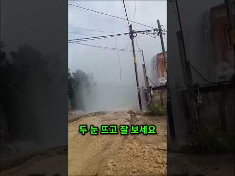 행운을 부르는 엄청난 자연현상