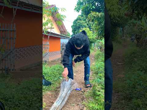 Ada ular ijo #diy #kreatif #viral #art #craft