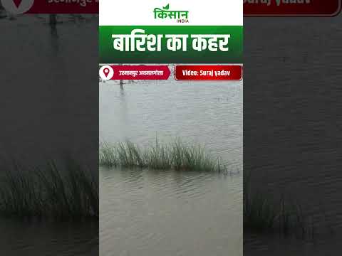 Bihar Weather : बारिश का कहर | Flood In Bihar। Kisan India