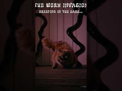 🎃 Halloween Edition – Crafted by the Experts, Approved by Pets! #catcare #dewormer