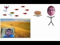 Radiocarbon Dating Concepts