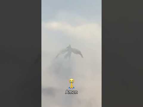 😱😱can you see that?? #shortvideo #shorts #short #shortsvideo