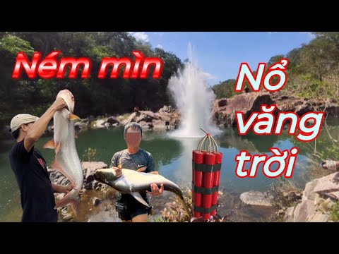 Bắt cá ở suối bằng thuốc nổ tự chế ..nổ rung đất đá...